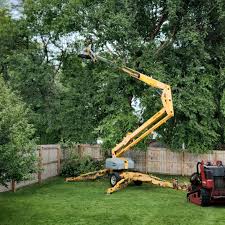 Best Arborist Consultation Services  in South Park, WY